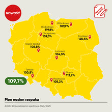 Załaduj obraz do przeglądarki galerii, Rzepak ozimy PT326- Bardzo wysokie zaolejenie i odporność na osypywanie się nasion