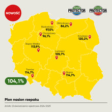 Załaduj obraz do przeglądarki galerii, Rzepak ozimy PT331- Odporny na kiłę kapusty oraz zgniliznę twardzikową