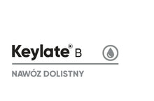 Załaduj obraz do przeglądarki galerii, Keylate B - Bor, który trafia w punkt
