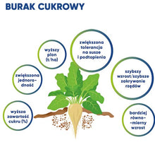 Załaduj obraz do przeglądarki galerii, Kinsidro™Grow + - Podkręć metabolizm roślin
