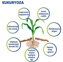 Załaduj obraz do przeglądarki galerii, Kinsidro™Grow + - Podkręć metabolizm roślin
